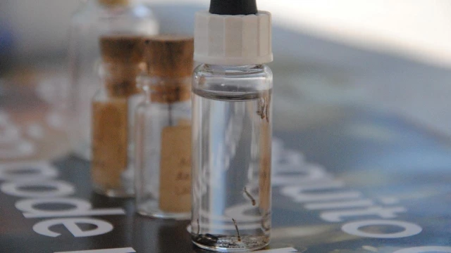 Epidemia: Prefeitura confirma 182 novos casos de dengue 