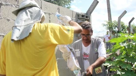 Taubaté ultrapassa 2.800 notificações de casos de dengue 