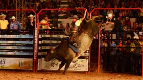 Audiência na Câmara tem defesa da volta dos rodeios em Taubaté 