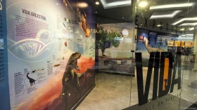 Pré-história do Vale do Paraíba é destaque no Alameda Cultural