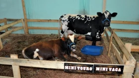 Fazendinha temática é atração em shopping de Taubaté