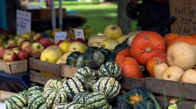 Feira de produtos orgânicos e artesanais é atração em shopping 
