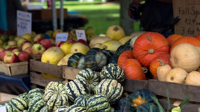Feira de produtos orgânicos e artesanais é atração em shopping 