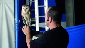 André Buriki apresenta “Conhecendo o Mundo Animal” no Sesc Taubaté 