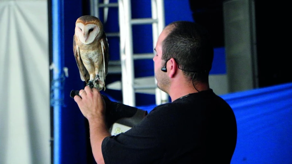 André Buriki apresenta “Conhecendo o Mundo Animal” no Sesc Taubaté André Buriki apresenta “Conhecendo o Mundo Animal” no Sesc Taubaté