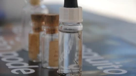 CAS faz alerta sobre cuidados com Aedes aegypti no final do ano