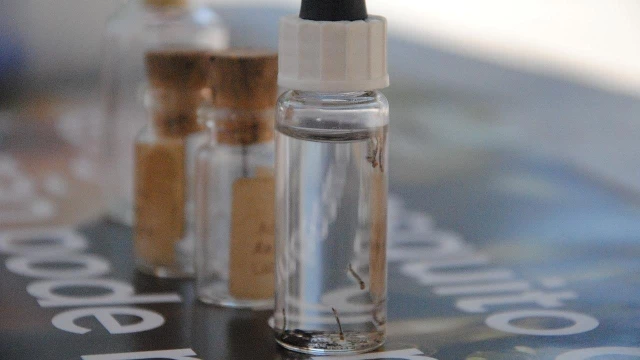 Taubaté apresenta queda dos casos de dengue no início de janeiro