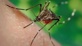 Fábrica de inseticida contra Aedes aegypti deve gerar 200 empregos