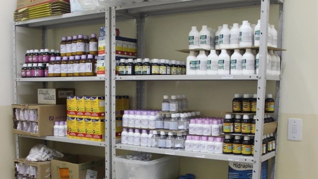 Vacinação contra febre amarela deve ser retomada nesta quarta-feira (8)