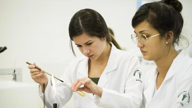 Medicina da Unitau fica entre os melhores do estado de São Paulo