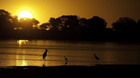 Sesc oferece minicurso de fotografia da natureza