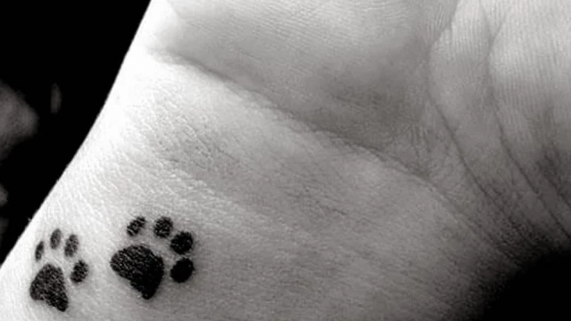 Shopping de Taubaté realiza nova edição do “Tattoo Animal”