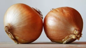 Cebola e carnes puxam aumento da cesta básica em abril
