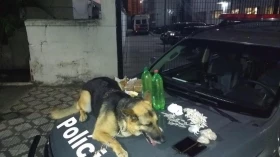 Dupla é presa com drogas e R$ 91 mil em cheques no Ato de São Pedro