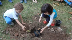 Alunos de colégio particular plantam mudas na Semana do Meio Ambiente