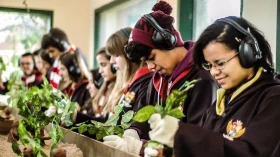 Shopping promove evento no aniversário de 20 anos do livro Harry Potter