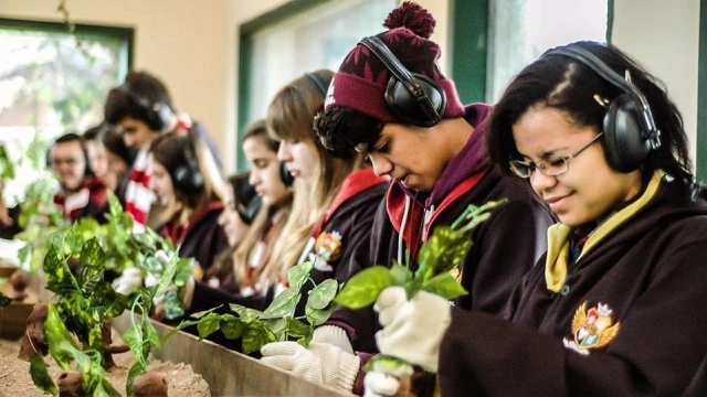 Shopping promove evento no aniversário de 20 anos do livro Harry Potter
