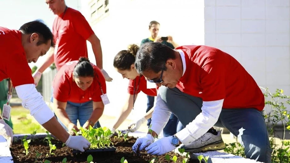 Empresa de eletroeletrônicos cede horta comunitária à escola Madre Cecília