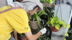 Prefeitura agenda ADL de Inverno no combate ao Aedes aegypti