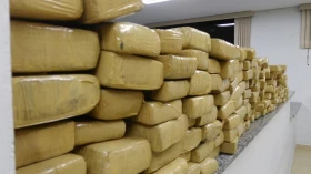 Homem de 33 anos é preso com tijolos de maconha 