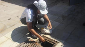 Prefeitura lança nova campanha de combate ao Aedes Aegypti