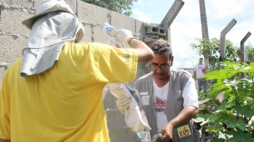 Bairros recebem mutirão de combate ao Aedes aegypti