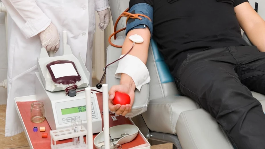 Plantão do Riso chama população para doar sangue ao Hemonúcleo Plantão do Riso chama população para doar sangue ao Hemonúcleo