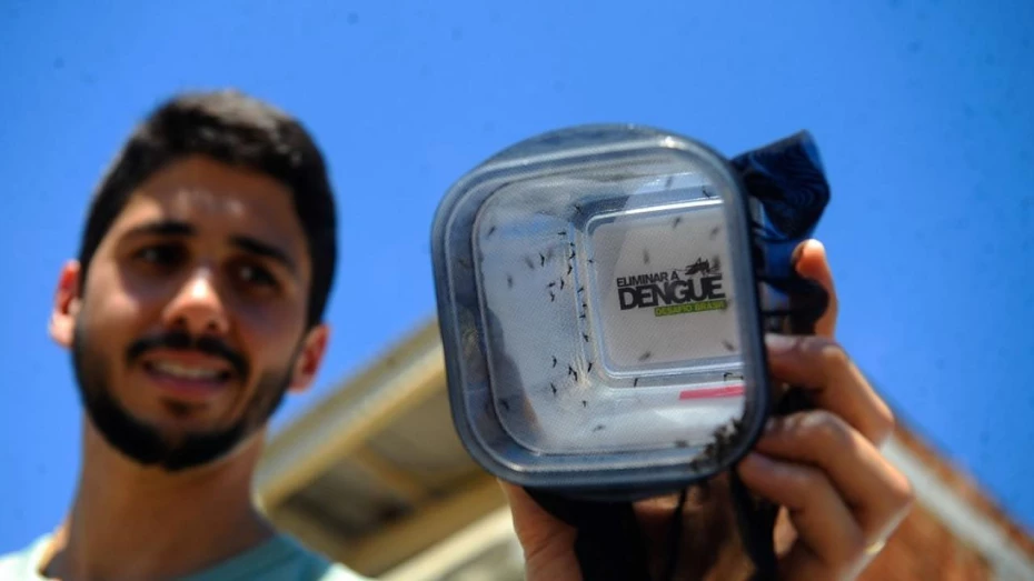 Taubaté tem menor número de casos de dengue em quatro anos Taubaté tem menor número de casos de dengue em quatro anos