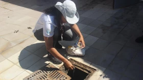 Taubaté tem primeiros casos de dengue confirmados em 2018
