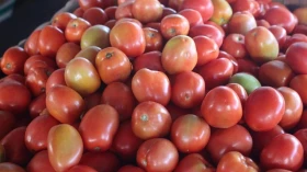 RMVale: Tomate puxa alta da cesta básica em janeiro