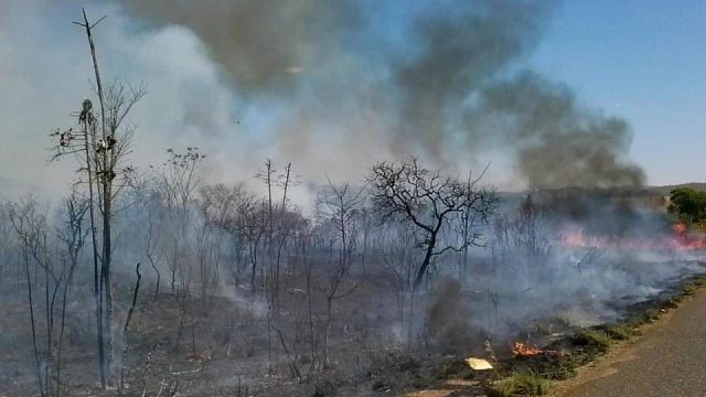 Campanha em Taubaté alerta sobre queimadas 