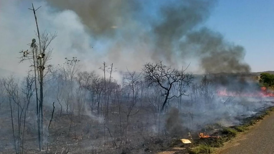 Campanha em Taubaté alerta sobre queimadas Campanha em Taubaté alerta sobre queimadas