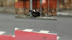 Motociclista morre em acidente na região central