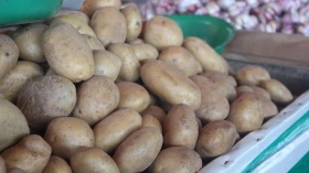 Cesta básica tem segunda queda de preços seguida, segundo Nupes