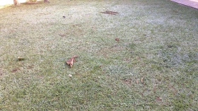 Frio deve diminuir ao longo da semana em Taubaté