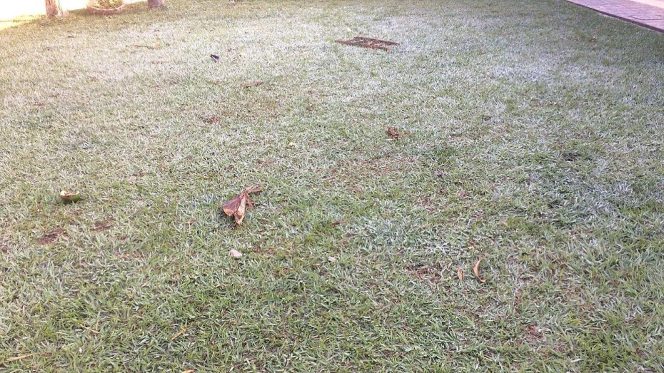 Frio deve diminuir ao longo da semana em Taubaté Frio deve diminuir ao longo da semana em Taubaté