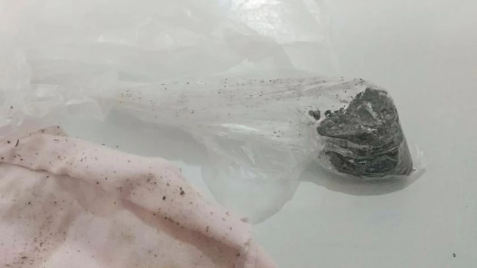 Mulheres são flagradas tentando entrar com maconha no CDP de Taubaté Mulheres são flagradas tentando entrar com maconha no CDP de Taubaté