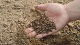 Shopping de Taubaté realiza oficinas de compostagem