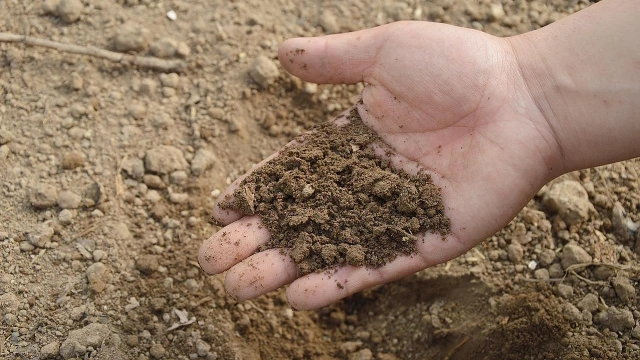 Shopping de Taubaté realiza oficinas de compostagem