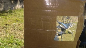 Empresa de Taubaté recebe explosivo e GATE é acionado