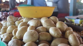 Cesta básica da região sofre maior aumento do ano em junho
