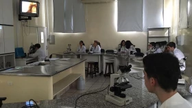 Pesquisa da Unitau estuda a manutenção do vírus da dengue em Taubaté Pesquisa da Unitau estuda a manutenção do vírus da dengue em Taubaté