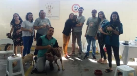  ONG realiza feira de adoção em Taubaté