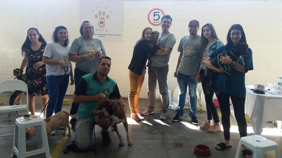 ONG realiza feira de adoção em Taubaté ONG realiza feira de adoção em Taubaté