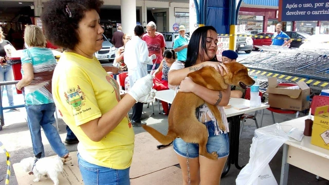 Vacinação antirrábica é prorrogada no município