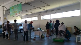 CCZ promove feira de adoção neste sábado