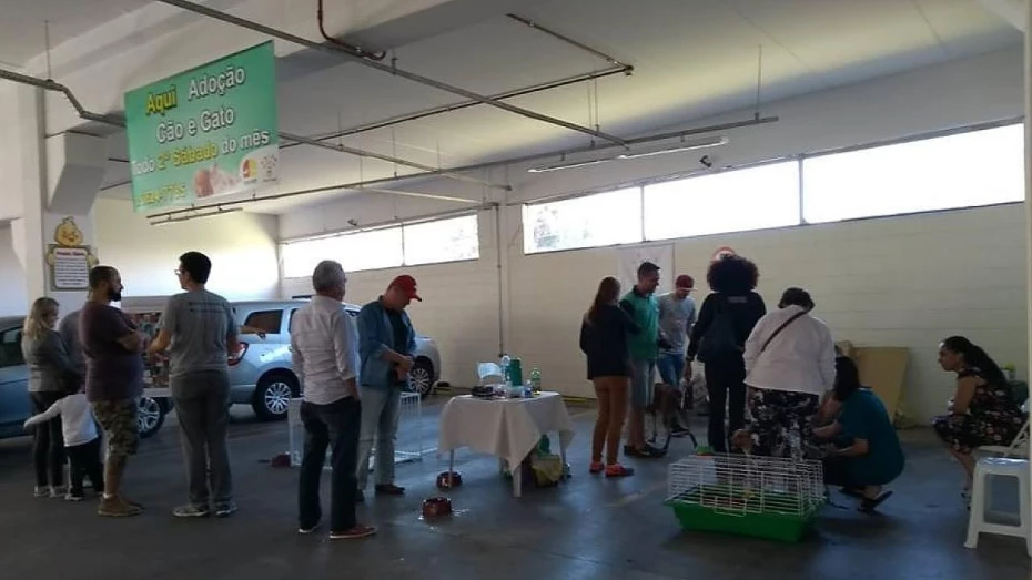 CCZ promove feira de adoção neste sábado CCZ promove feira de adoção neste sábado