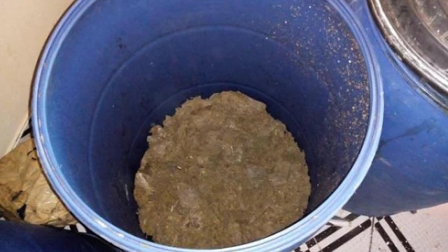 DISE apreende mais de 60 kg de maconha em área rural do município