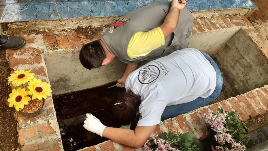 Criadouros do Aedes são encontrados em cemitérios do município Criadouros do Aedes são encontrados em cemitérios do município