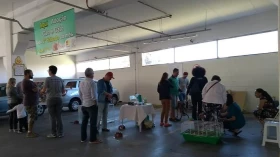 Feira de adoção de animais é realizada na Poli Pet